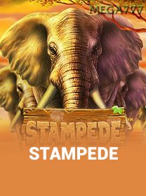 Stampede icon